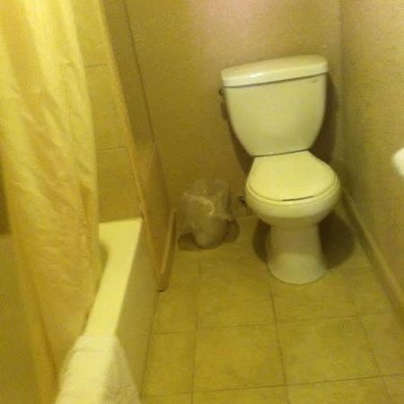 White Mountain Motel Springerville Экстерьер фото